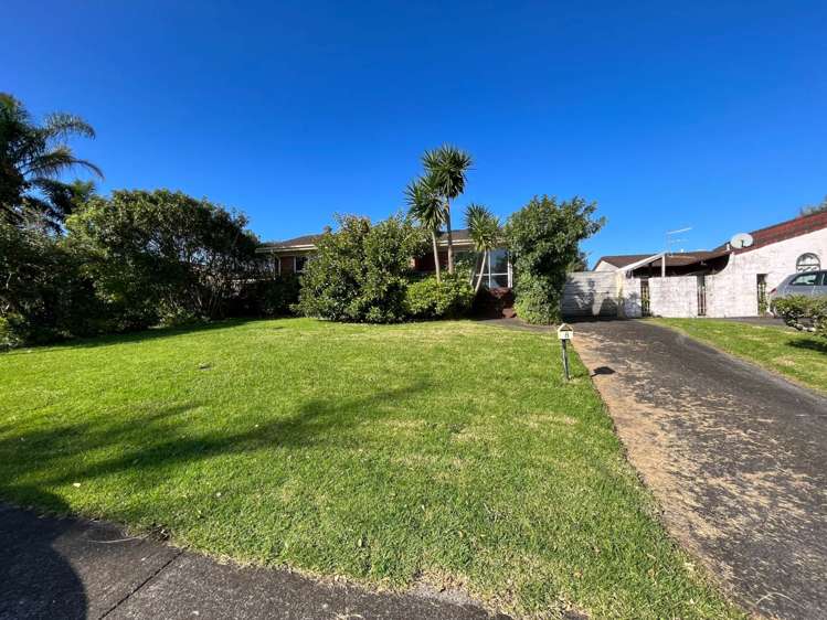 8 Palm Court Drive Glen Eden_12