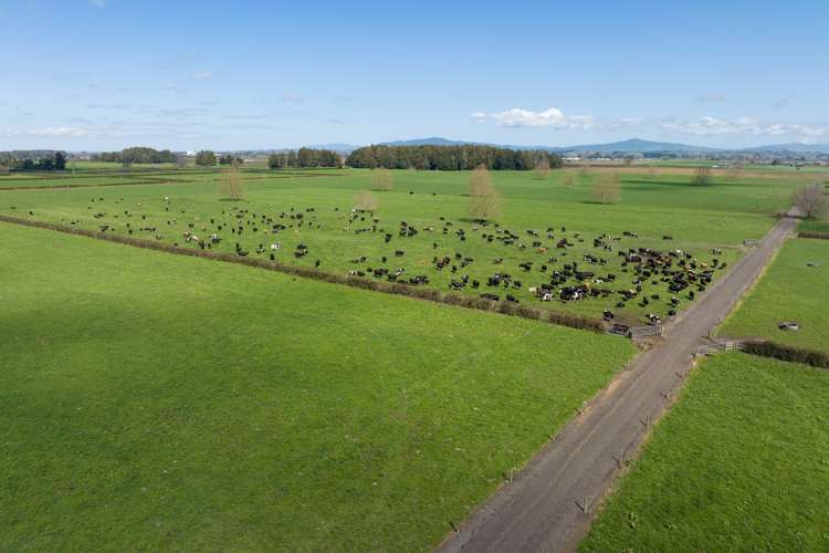 Alexandra Road Waharoa_2