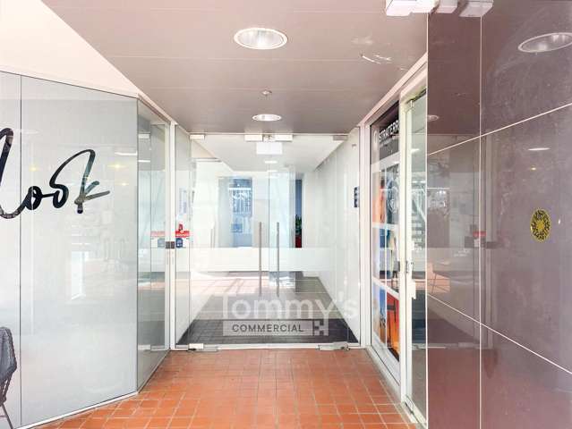 93 The Terrace Wellington Central_2