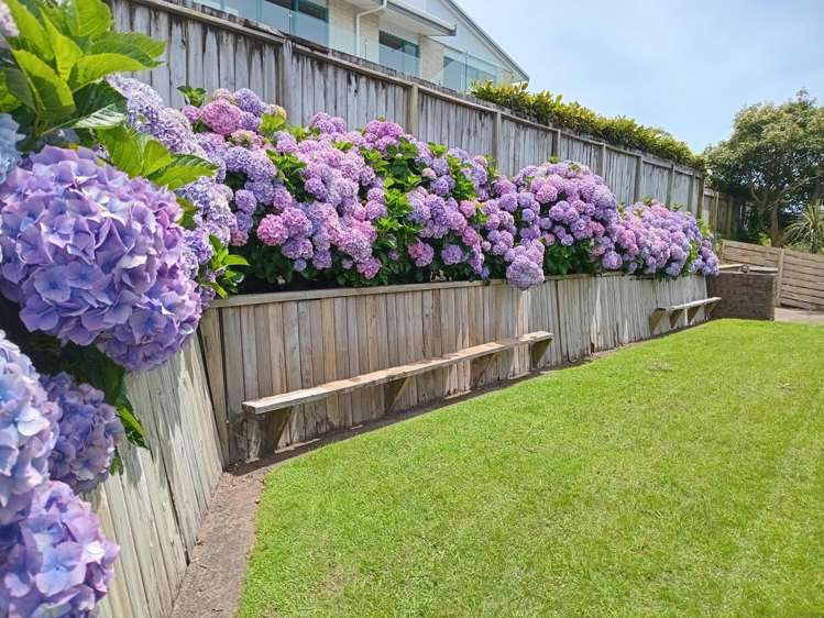 8 Julian Place Westown_25