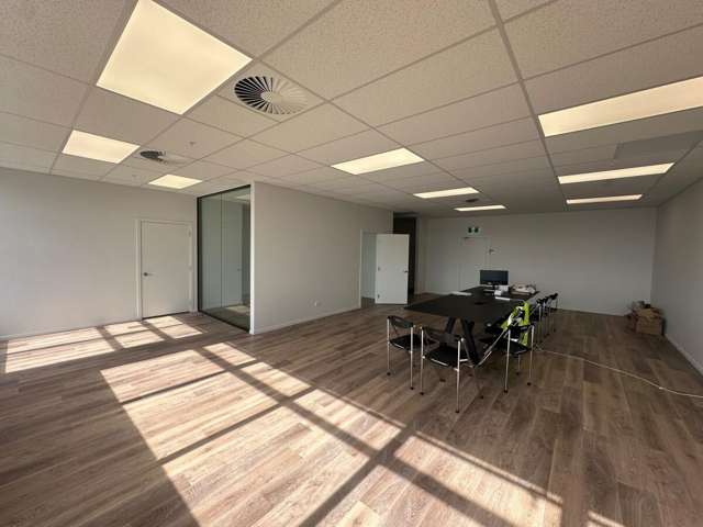 173 Captain Springs Road Onehunga_4