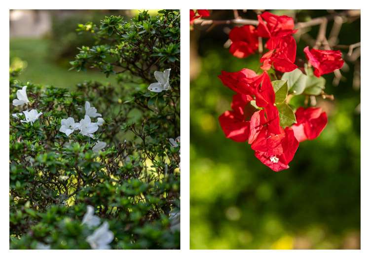 101 Tararu Road Thames_32