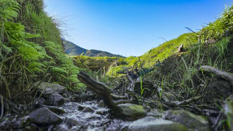 Lot 2, 3, 4,/151 Hill Road Te Aroha_6