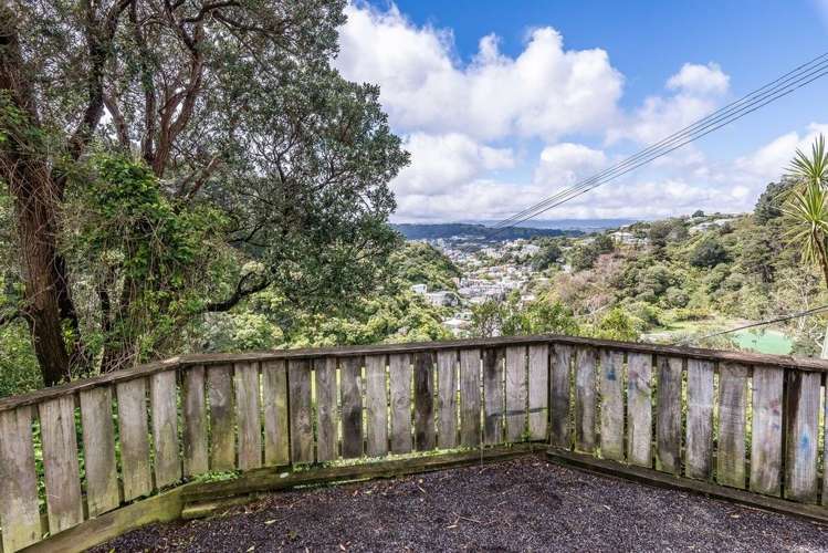 17 Irvine Street Aro Valley_10