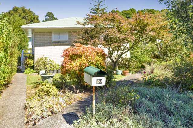 20 Kelkirk Street Kelston_4