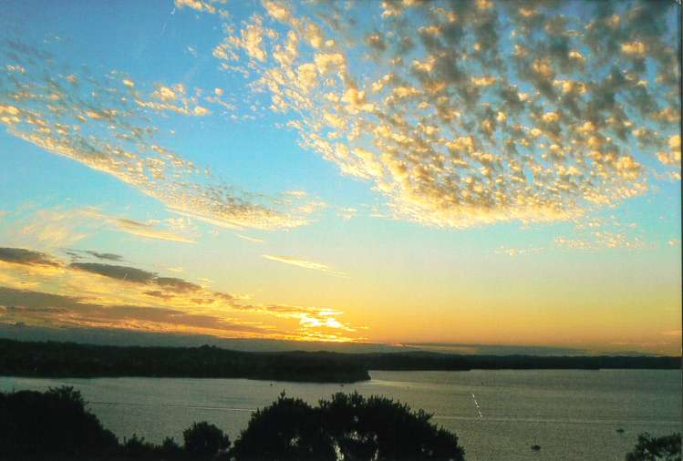 23 Roberts Road Matakatia_27