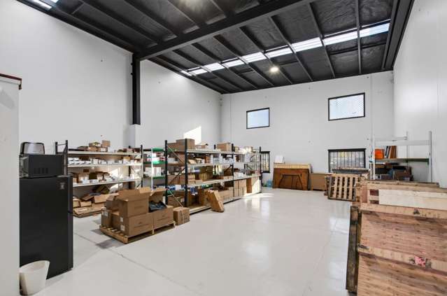 11a Carlyle Street Sydenham_3
