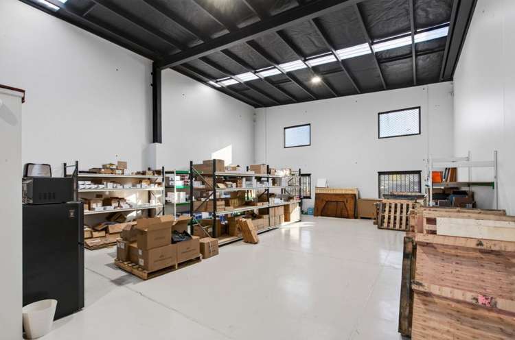 11a Carlyle Street Sydenham_3