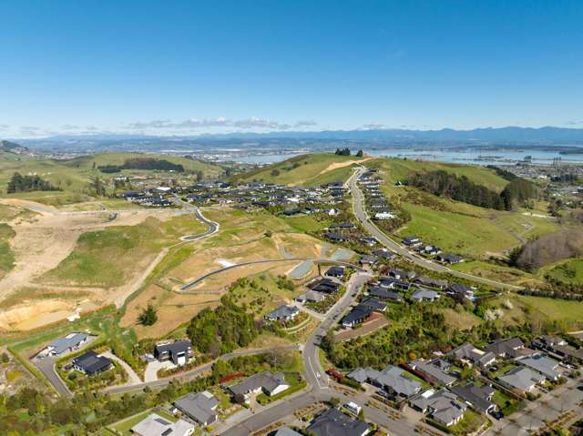 Ayrburn Lane Subdivision Stoke_2