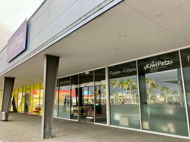T30B/223-233 Fraser Street Tauranga South_3