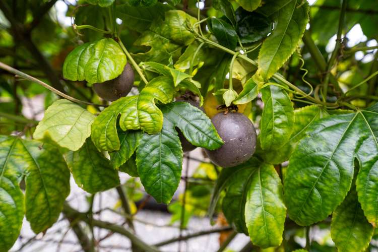 307 Rarangi Beach Road Rarangi_15