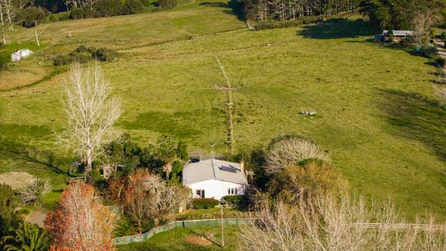 391 Pine Valley Road Dairy Flat_4