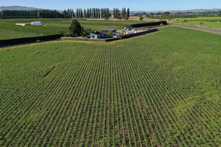 133 York Road Longlands_20