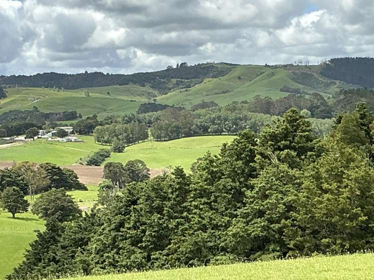 Lot 2/DP385487 Poyner Road Tahekeroa_9