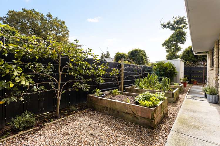 71B Scott Street Cambridge_20