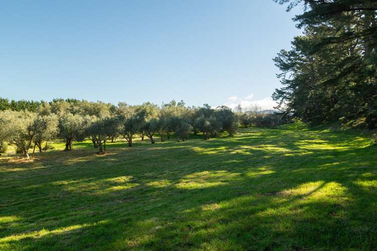 417 Upper Plain Road Masterton_10