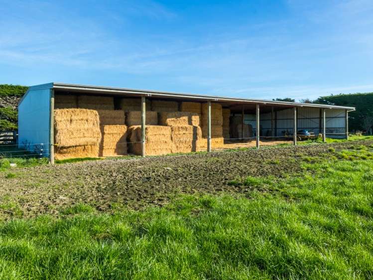 630 Grahams Road Willowby_7