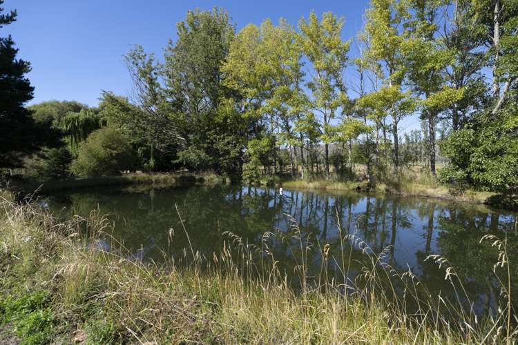 36 Hawley Road Alexandra_21