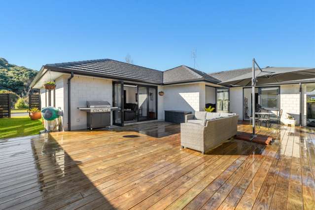 138 Adler Drive Ohauiti_1