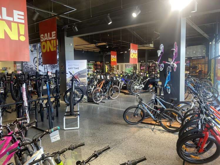 72 Barrys Point Road Takapuna_6