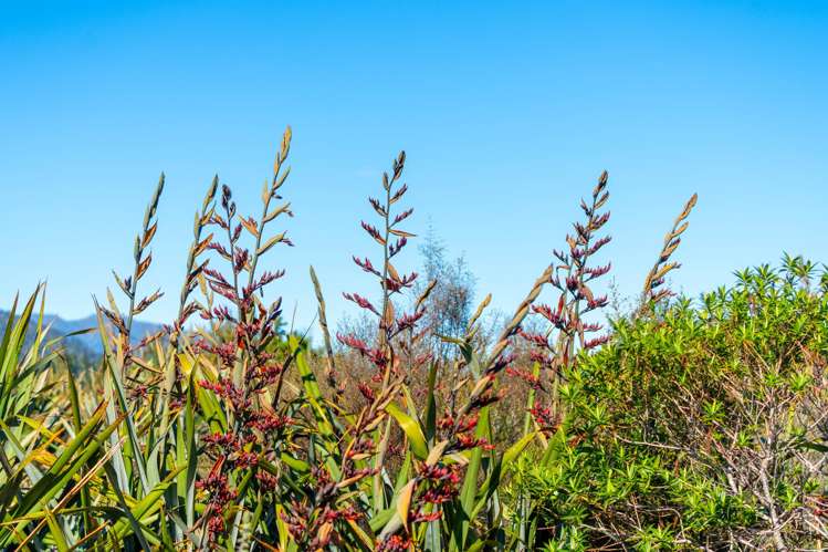 847 Lake Brunner Road Moana_13