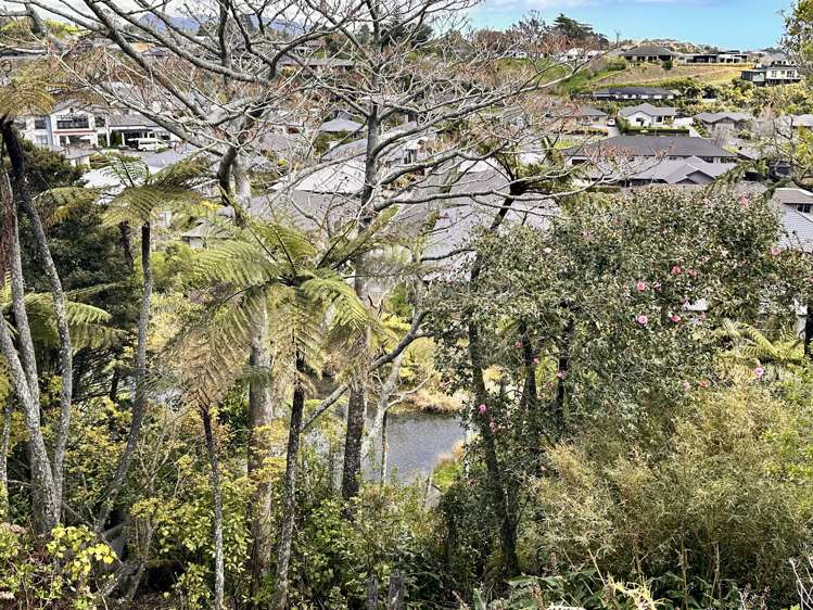 466A Carrington Street Upper Vogeltown_6