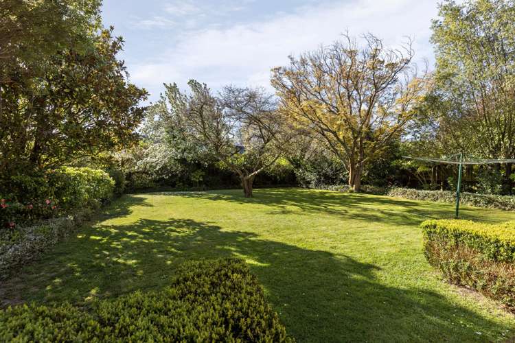 55 Leinster Road Merivale_3