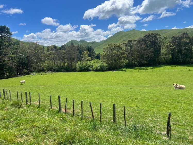 Lot Lot 1/9 Tamaki East Road Dannevirke_3