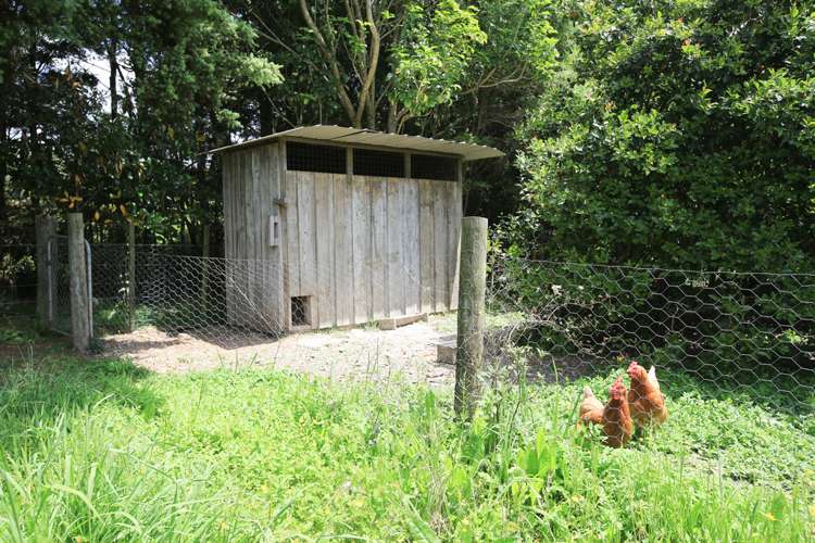 5272 Kaipara Coast Highway Wellsford_9