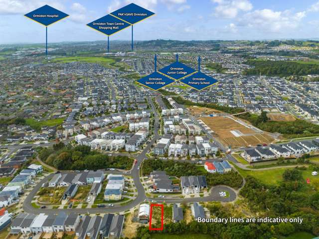 1 Puhakehake Place Flat Bush_1