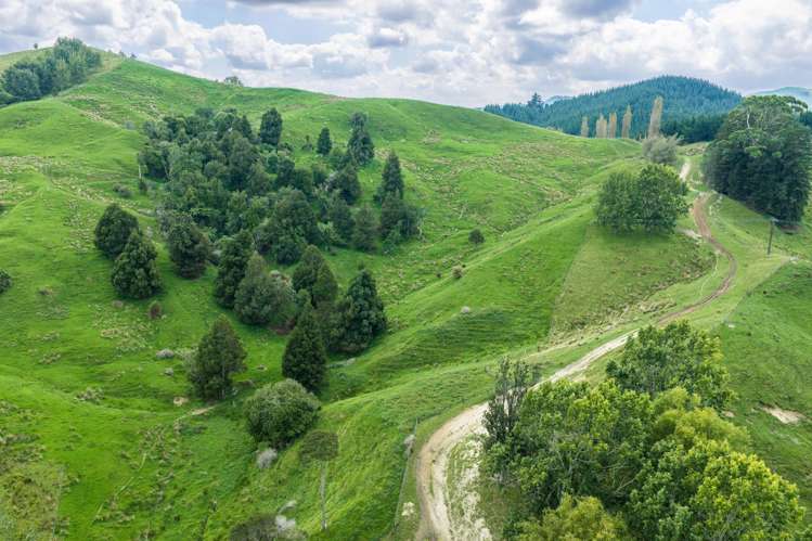 1678 Tiniroto Road Waerenga-O-Kuri_18