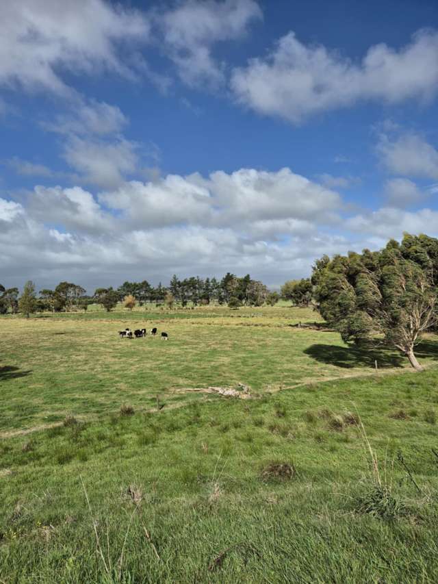 50b Painua Road Hokio Beach_3