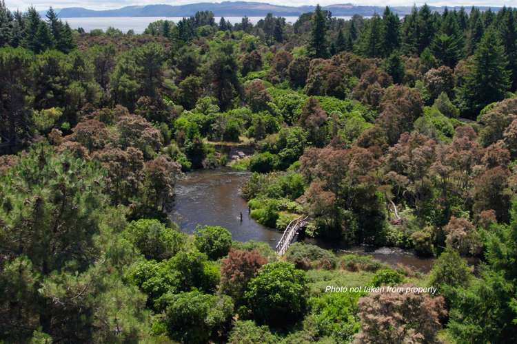 20 Mill Road Waitahanui_21