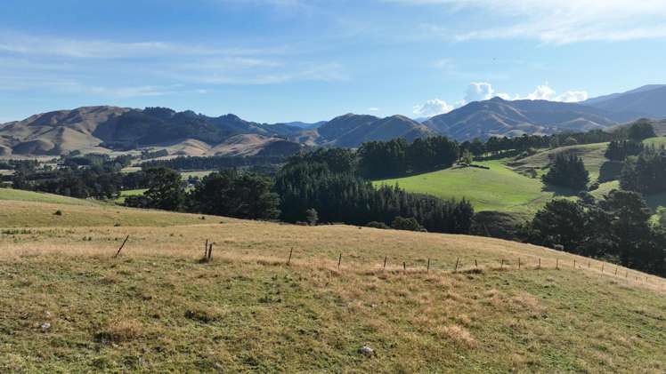 84 Falloon Settlement Road Masterton_12