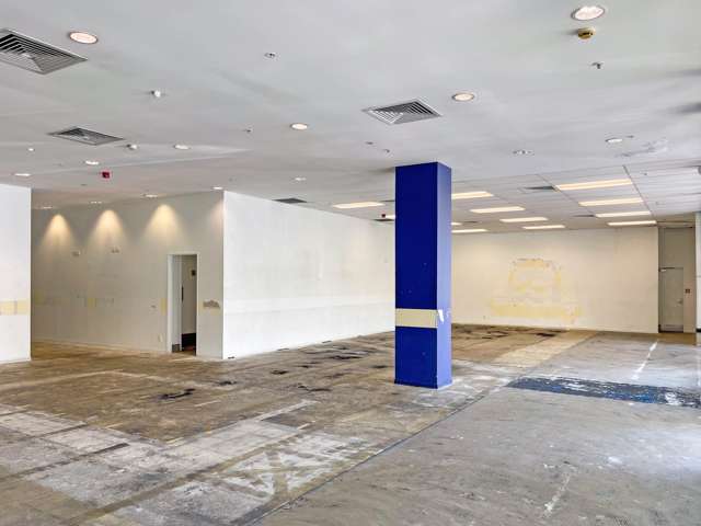 Aylesbury Street Pakuranga_1