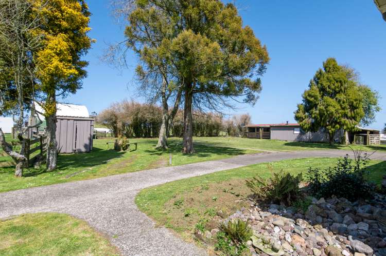 16 Cecil Road Mamaku_16