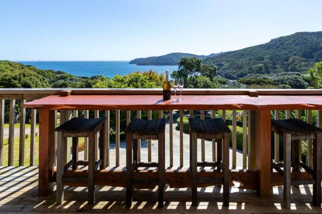 40 Blackwell Drive Great Barrier Island_2