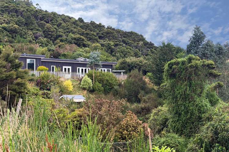 521 Mount Cargill Road_0