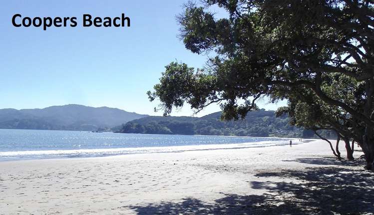 5 Protea Drive Cable Bay_19