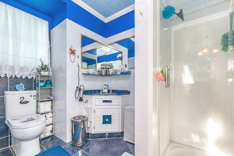 2 Avon Street Levin_9