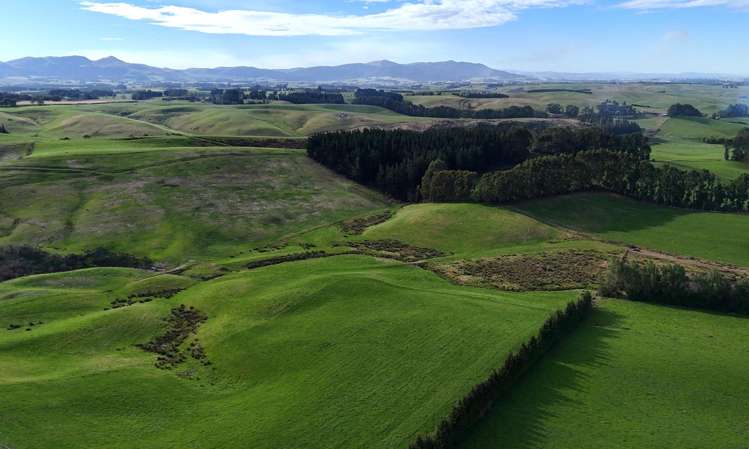 Glendhu Road Mataura_2