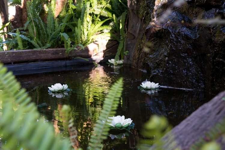 2/59 Tarawera Terrace Saint Heliers_22