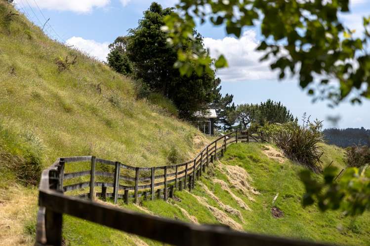 81b Oropi Gorge Road Pyes Pa_22