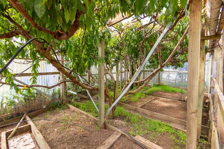 27 Robertshawe Crescent Dannevirke_38