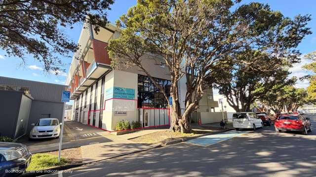 5 Raroa Road Hutt Central_1