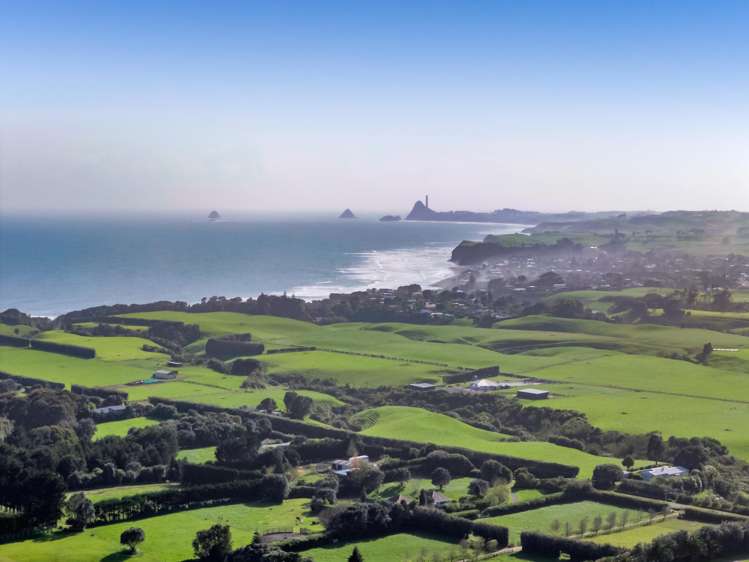 274 Lower Weld Road Oakura_3