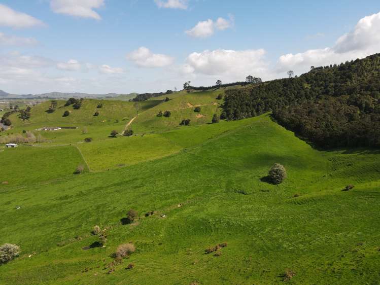 1949 Tahuna Road Te Hoe_5