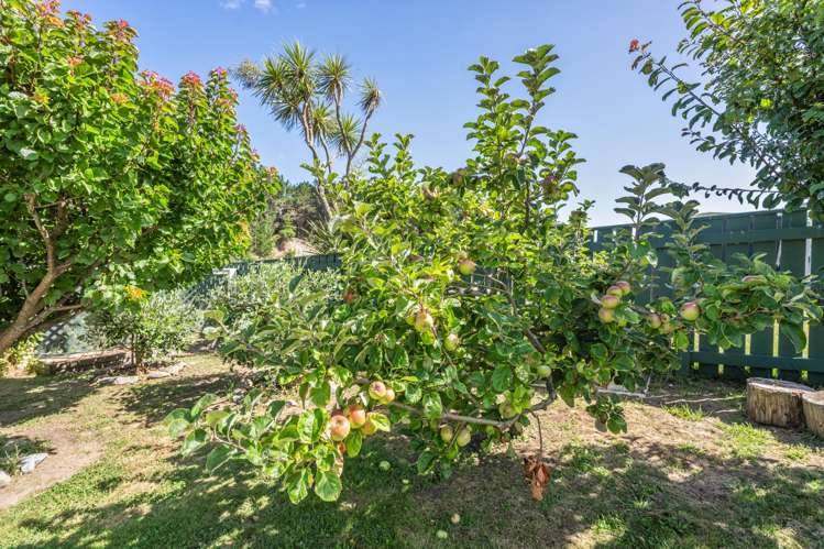 28 Drake Street Waikawa Beach_25