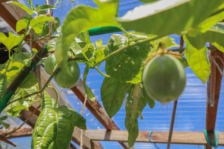 19 Plunket Street, Runanga_31