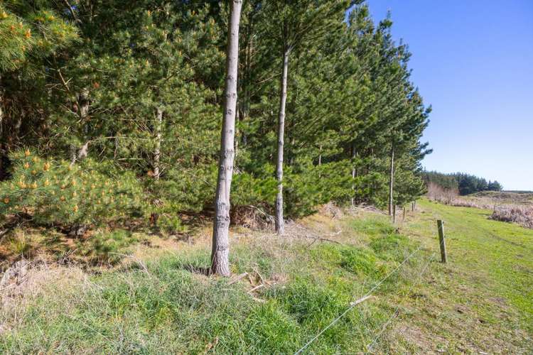 725 Raumai Road Bulls_27